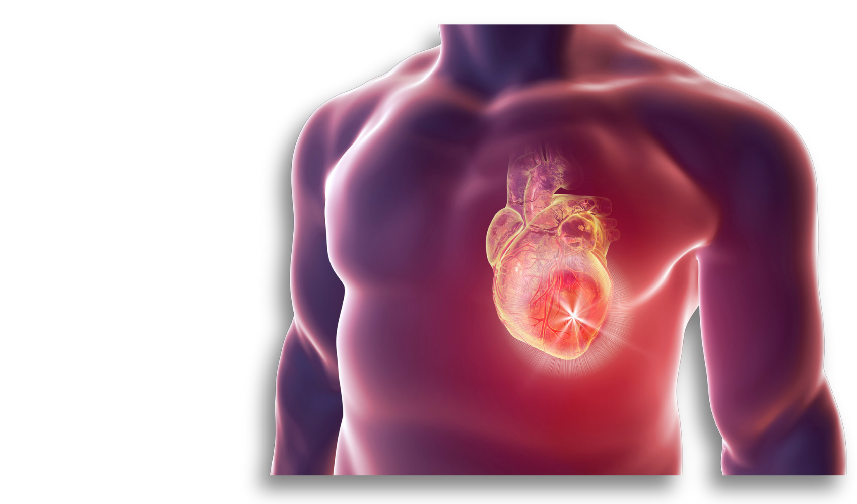 sfondo trasparente 2